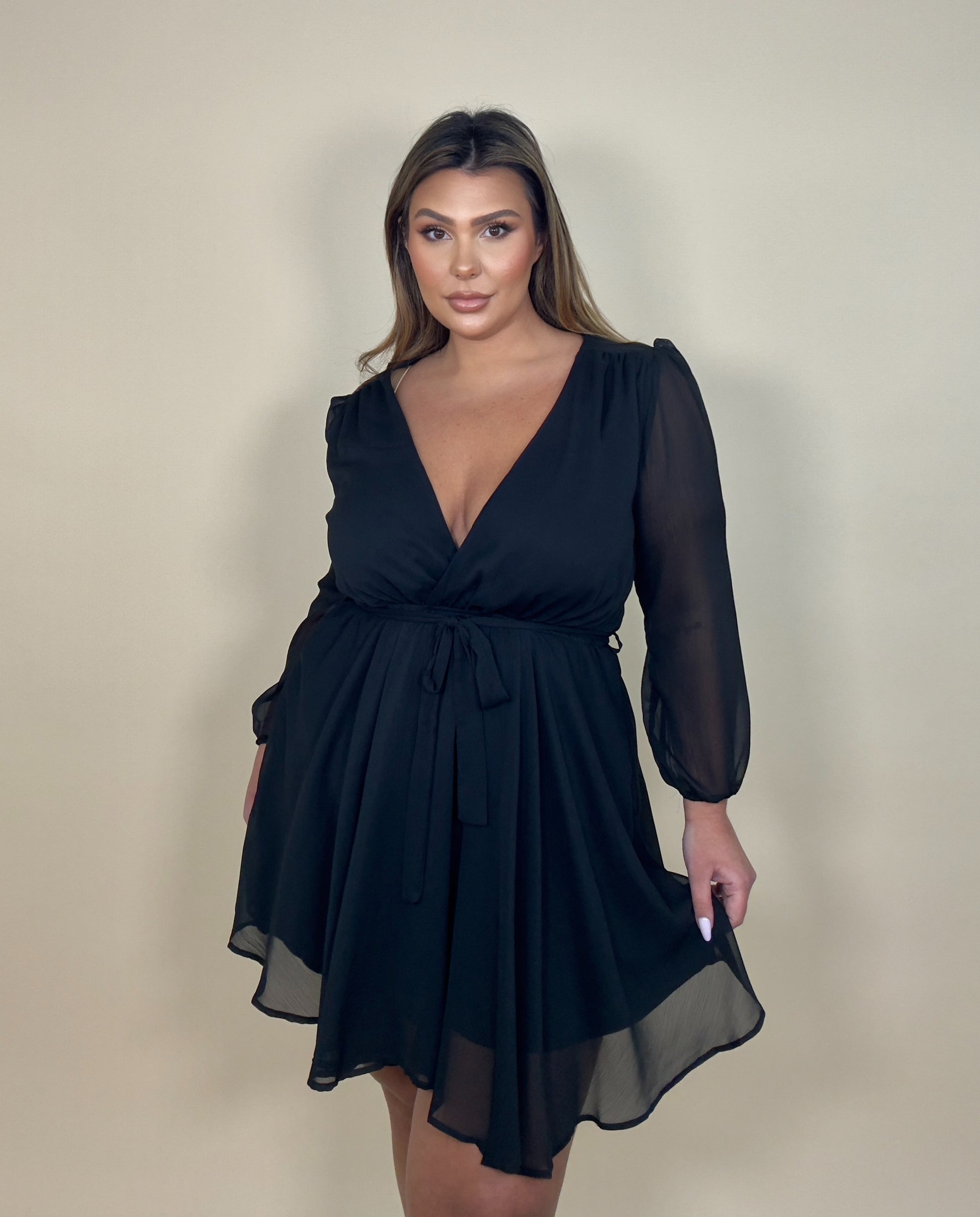 Sheer Sleeve Fit & Flare Dress (2 colors)