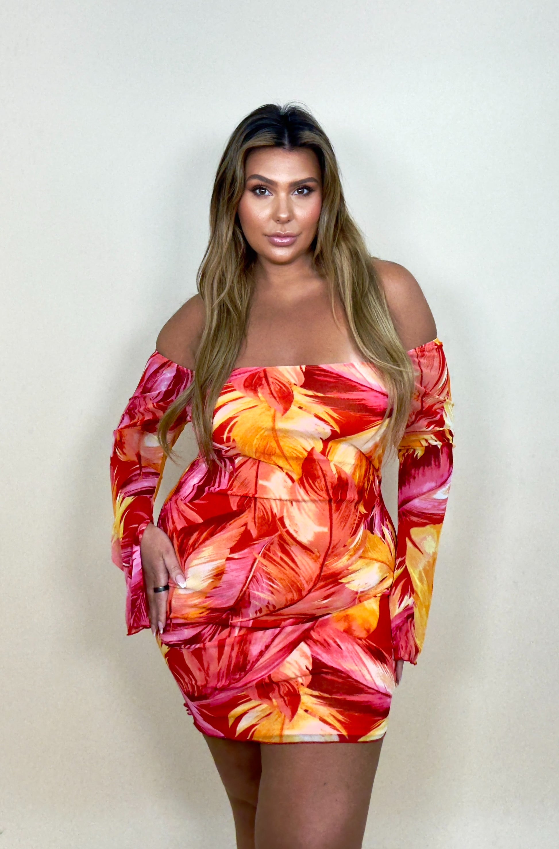 'Kena' Sheer Long Sleeve Floral Dress