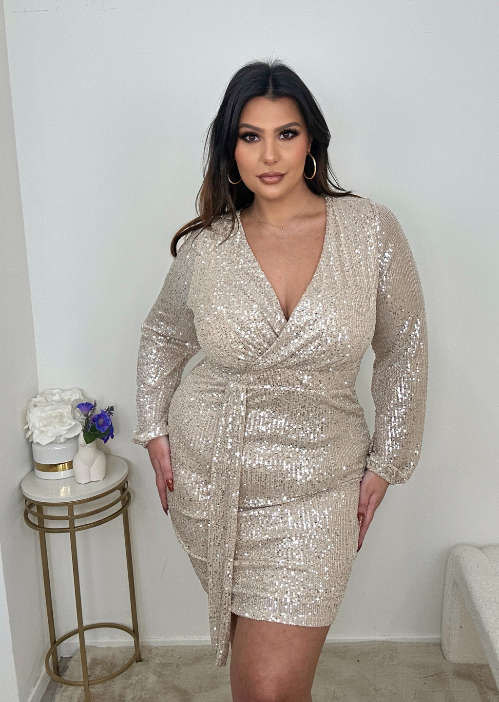Sequin Holiday Dress (2 colors)