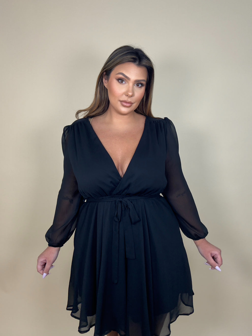 Sheer Sleeve Fit & Flare Dress (2 colors)