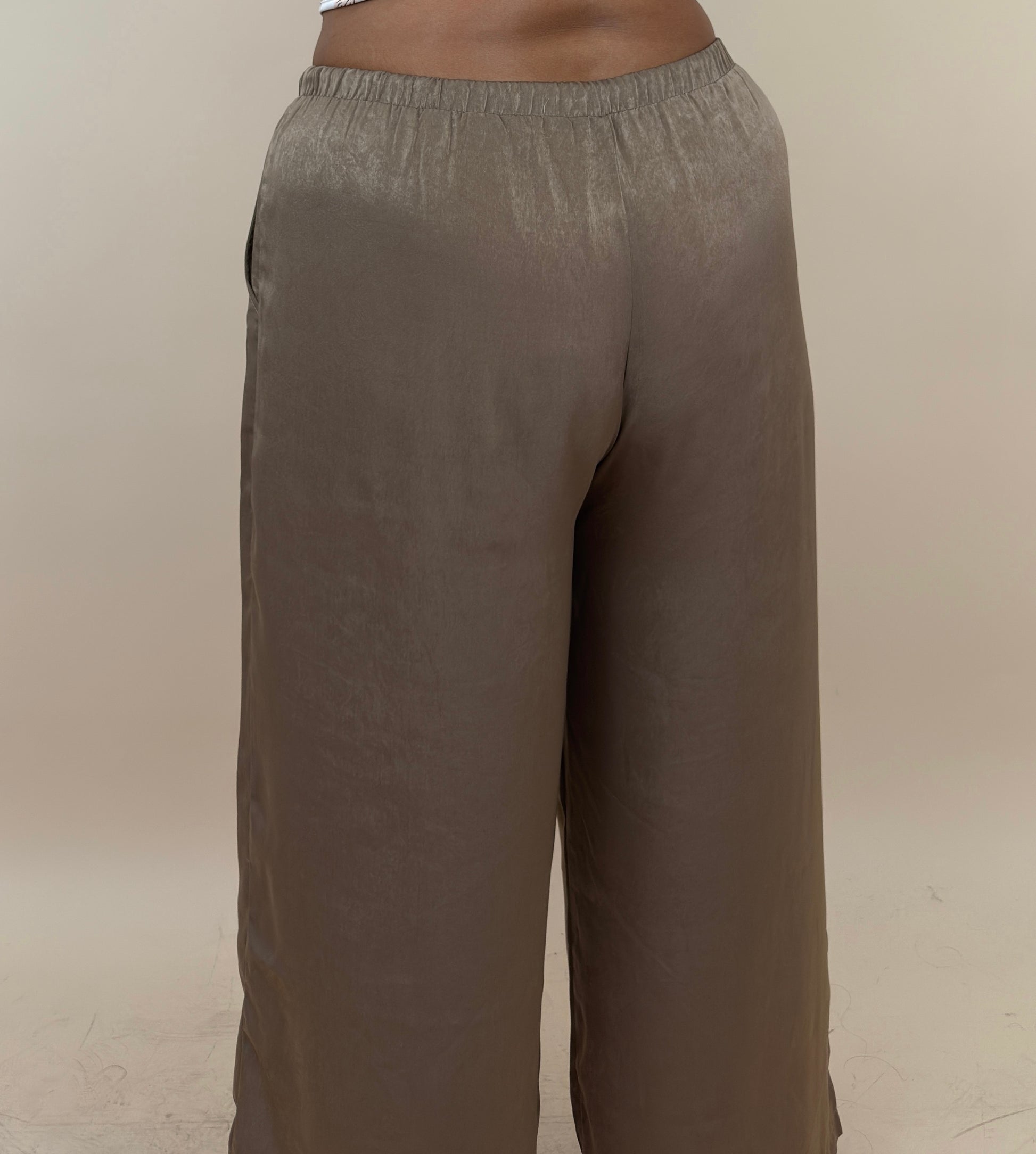 Beige Silky Sheen Wide Leg Pant