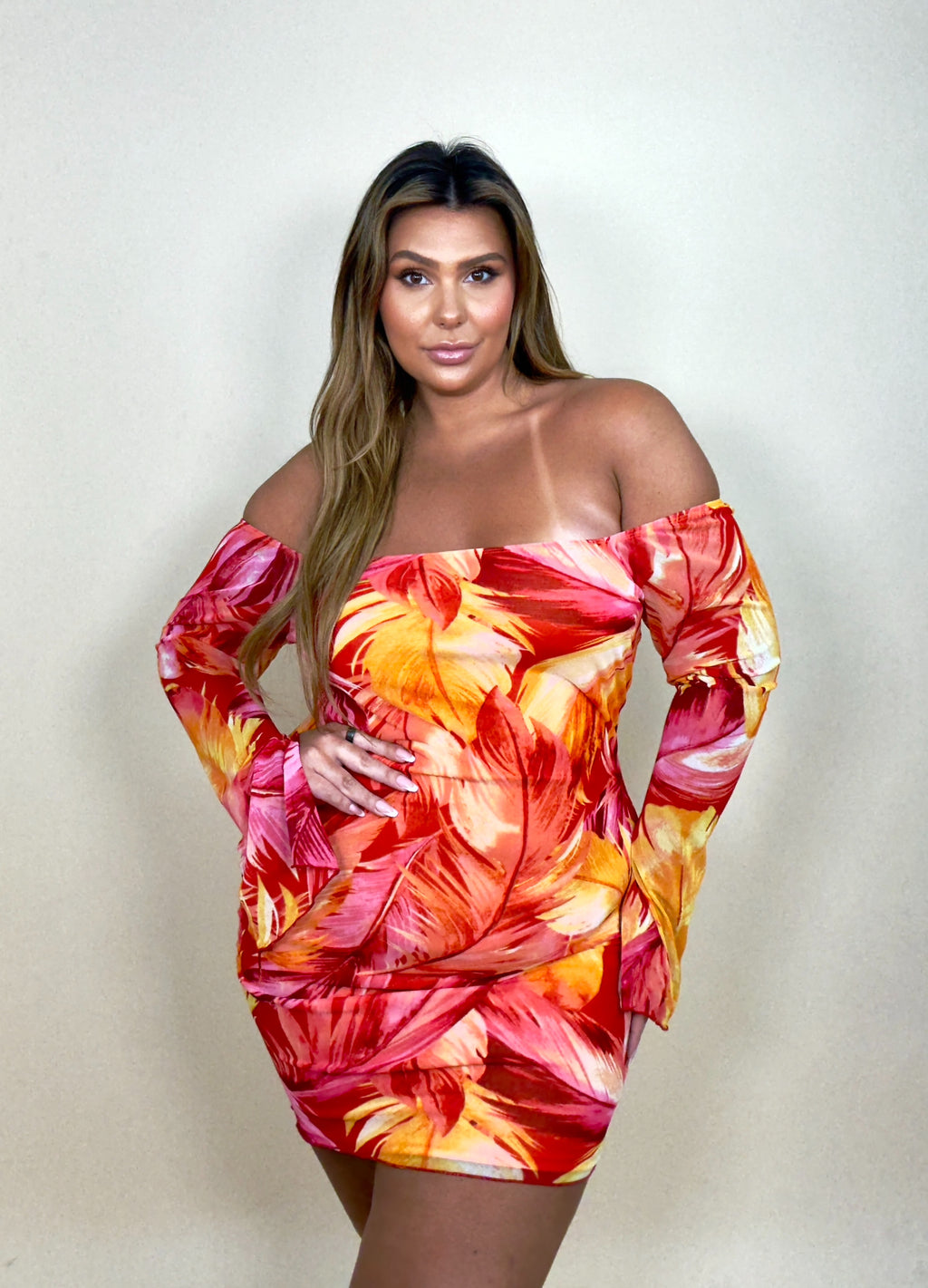 'Kena' Sheer Long Sleeve Floral Dress